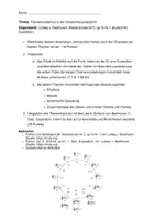 Vorschau - Klassenarbeiten - Klausur und Erwartungshorizont - Sonatenhauptsatzform - Seite 3