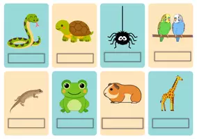 Vorschau - Merkblätter - Animals Lernkarten zum Ausschneiden und lernen Klasse 3-4 - Seite 2