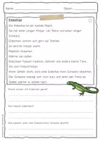 Vorschau - Arbeitsblätter - Sachtext Eidechse - Seite 1