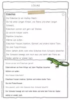 Vorschau - Arbeitsblätter - Sachtext Eidechse - Seite 2
