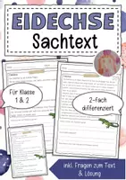 Vorschau - Arbeitsblätter - Sachtext Eidechse - Deckblatt