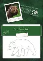 Vorschau - Unterrichtsreihen - Rätselheft Braunbär Tatzenstufe 2 (3. und 4. Klasse) - Seite 2