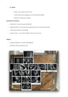 Vorschau - Arbeitsblätter - Fotografie und Kubismus - Praktische Gestaltungsaufgabe - Seite 2