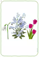 Vorschau - Bildkarten - Bildkarten_Ich lieb den Frühling - Seite 1