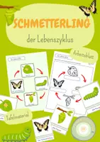 Vorschau - Arbeitsblätter - Schmetterling, Lebenszyklus, Arbeitsblatt und Tafelmaterial - 1. / 2. Klasse - Deckblatt