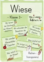 Vorschau - Arbeitsblätter - Die Wiese Materialpaket - Marienkäfer, Gänseblümchen & mehr - Seite 1