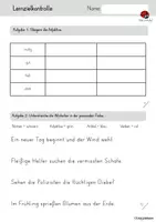 Vorschau - Arbeitsblätter - Lernzielkontrolle Grammatik - Wortarten, Satzglieder - Seite 1