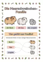 Vorschau - Arbeitsblätter - Alles rund um das Meerschweinchen - Wissens- & Mitmachheft (Kita – 1. Klasse) - Seite 2