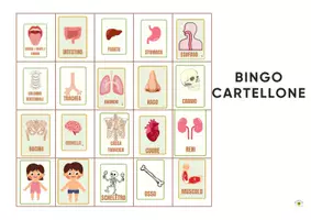 anteprima - Giochi - TOMBOLA/ BINGO DEL CORPO UMANO CON TESSERE DEGLI ORGANI - Pagina 1
