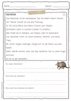 Vorschau - Arbeitsblätter - Sachtext Gürteltier - Seite 1