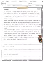 Vorschau - Arbeitsblätter - Sachtext Hamster - Seite 3
