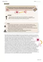 Vorschau - Arbeitsblätter - Grundlagen Nervenzellen/ Neurone - Deckblatt