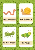 Vorschau - Bildkarten - Wortschatzkarten Wiesengewusel - Deckblatt