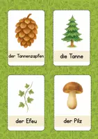 Vorschau - Bildkarten - Wortschatzkarten Wald - Deckblatt