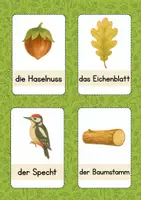 Vorschau - Bildkarten - Wortschatzkarten Wald - Seite 1