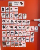 Aperçu - Jeux - L'Afrique maternelle, imagier, cycle 1, pack cartes vocabulaires + devinettes - Page de couverture