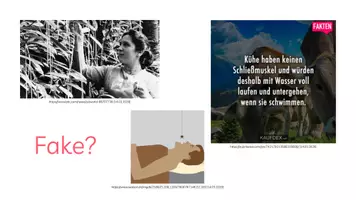 Vorschau - Präsentationen/Tafelbilder - Medien: Fake News & Hate Speech - Seite 2