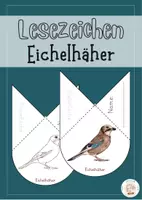 Vorschau - Mal- und Bastelvorlagen - Lesezeichenecke Eichelhäher - Heimische Vögel - Deckblatt