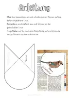 Vorschau - Mal- und Bastelvorlagen - Lesezeichenecke Eichelhäher - Heimische Vögel - Seite 2