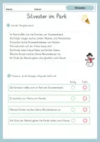 Vorschau - Arbeitsblätter - Deutsch Leseverstehen Silvester/Neujahr (Klasse 2–3) - Seite 2