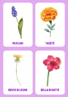 anteprima - Flashcard - Flashcards fiori - Pagina 1