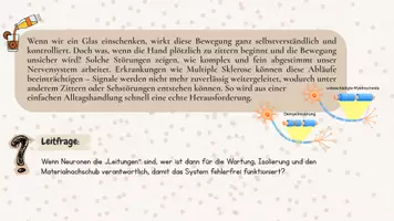 Vorschau - Arbeitsblätter - Gliazellen verstehen - Seite 1