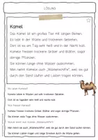 Vorschau - Arbeitsblätter - Sachtext Kamel - Seite 2