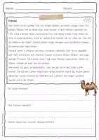 Vorschau - Arbeitsblätter - Sachtext Kamel - Seite 3