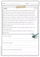 Vorschau - Arbeitsblätter - Sachtext Libelle - Seite 3
