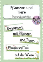 Vorschau - Präsentationen/Tafelbilder - Pflanzen und Tiere - Themenüberschrift - Deckblatt