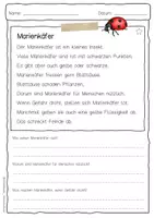 Vorschau - Arbeitsblätter - Sachtext Marienkäfer - Seite 1