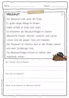 Vorschau - Arbeitsblätter - Sachtext Maulwurf - Seite 1