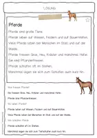 Vorschau - Arbeitsblätter - Sachtext Pferde - Seite 2