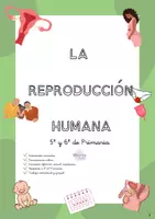 Vista previa - Unidades / Secuencias / Situaciones de Aprendizaje - REPRODUCCIÓN HUMANA PARA 5º Y 6º CASTELLANO Y GALEGO - Portada