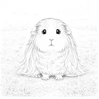Vorschau - Mal- und Bastelvorlagen - Meerschweinchen Ausmalbilder (50 Malvorlagen) inkl. Stundenentwurf (PDF) - Seite 1