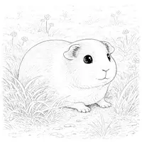 Vorschau - Mal- und Bastelvorlagen - Meerschweinchen Ausmalbilder (50 Malvorlagen) inkl. Stundenentwurf (PDF) - Seite 2