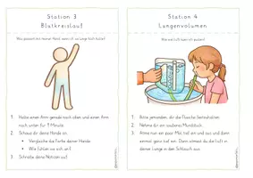 Vorschau - Experimente - Wir werden Körper-Experten - Stationen für Organsysteme - Seite 3