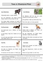 Vorschau - Arbeitsblätter - Tiere in Rheinland-Pfalz Klasse 3 - 5 - Seite 2