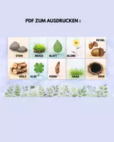 Vorschau - Bildkarten - Naturschatzsuche mit Eierkarton – Outdoor Spiel & Arbeitsblatt für Kindergarten & Grundschule - Deckblatt