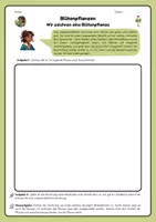 Vorschau - Arbeitsblätter - Blütenpflanzen zeichnen - Deckblatt