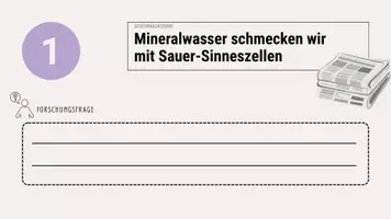 Vorschau - Arbeitsblätter - Das sprudeligste Mineralwasser - Lösen von Kohlenstoffdioxid in Wasser - Seite 2
