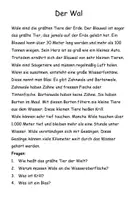 Vorschau - Stundenentwürfe - Meerestiere. Sachtexte mit Fragen & Quiz. Leseverständnis Grundschule (Klasse 3–4) - Seite 1