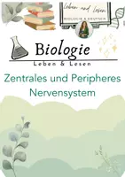 Vorschau - Präsentationen/Tafelbilder - Zentrales und Peripheres Nervensystem - Deckblatt
