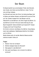 Vorschau - Stundenentwürfe - Der Wald. Sachtexte mit Fragen & Quiz. Leseverständnis Grundschule Klasse 3-4 - Seite 1