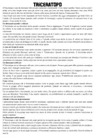 anteprima - Altro tipo di materiale - Carta d'identità del dinosauro - Pagina 2