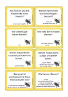 Vorschau - Spiele - Wildbienen und Hummeln Quiz-Spiel zur Wissenssicherung - Seite 3
