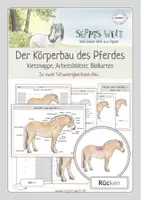 Vorschau - Arbeitsblätter - Der Körperbau / die Körperteile des Pferdes - Deckblatt