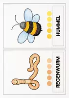 Vorschau - Bildkarten - Bild- und Wortkarten Insekten | Silbenkarten Käfer - Seite 3