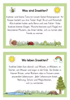 Vorschau - Arbeitsblätter - Materialpaket "Auf der Blumenwiese" | Insekten | Frühling - Seite 1