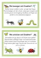 Vorschau - Arbeitsblätter - Materialpaket "Auf der Blumenwiese" | Insekten | Frühling - Seite 3